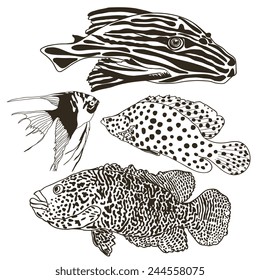 Set of fish.