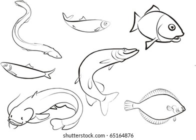 set of fish