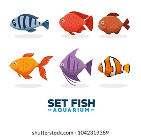 set fish aquarium icon