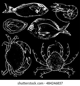 Set of fish and crab seafood vector chalk illustration on blackboard