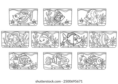 A set of fish with different colors and sizes. The fish are all swimming in the water