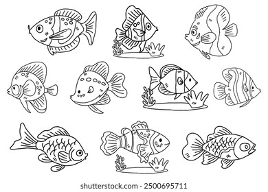 A set of fish with different colors and sizes. The fish are all swimming in the water