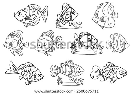 A set of fish with different colors and sizes. The fish are all swimming in the water