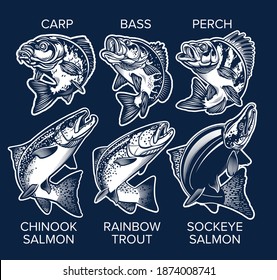 Set of Fish Emblems Vintage Style. Carp, Bass, Perch, Chinook Salmon, Rainbow Trout, Sockeye Salmon Vector Illustrations.