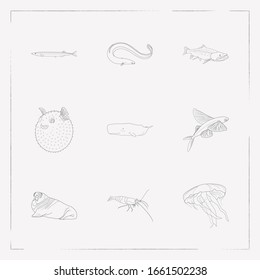 Set of fish icons line style symbols with puffer fish, jellyfish, cetacean and other icons for your web mobile app logo design.