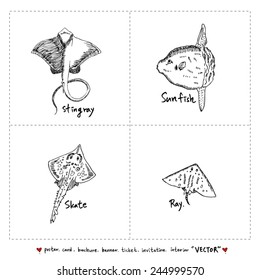 Set of fish illustrations - Hand drawn sketch - vector
