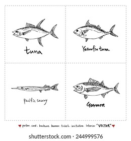 Set of fish illustrations - Hand drawn sketch - vector