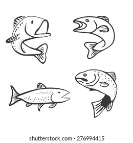  Set of Fish Isolated on White Background Vector Illustration