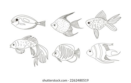 Set of fish in a linear style. Vector illustration of six fish isolated on a white background.