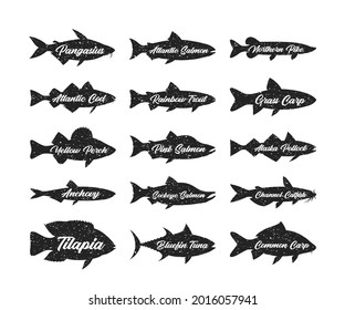 Set of fish logo or label templates. Retro styled fish silhouettes collection for fisheries, fishing, fish markets, packaging or advertising