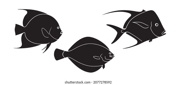 Set of Fish. Moray Black and White Illustration. Fish Vector. Fish Tattoo on White Background. Ocean Life. Aquarium Fish Sketch for Coloring Book.