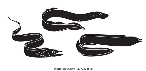 Set of Fish. Moray Black and White Illustration. Predatory Sea Life. Fish Vector. Fish Tattoo on White Background. Ocean Life. Sea Fish Sketch for Coloring Book.