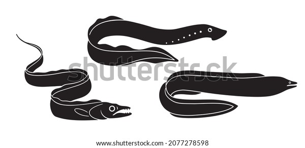 Set of Fish. Moray Black and\
White Illustration. Predatory Sea Life. Fish Vector. Fish Tattoo on\
White Background. Ocean Life. Sea Fish Sketch for Coloring\
Book.