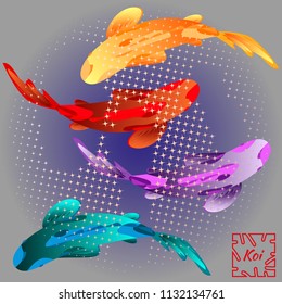 Set with a fish, multi-colored koi carp against blue gradient background and sparkling stars. Vector illustration, Cyprinus Carpio.
