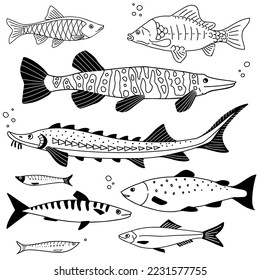 Set of Fish. Pike, sturgeon, herring, mackerel, carp, roach, sprat. Black and white vector illustration