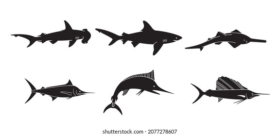 Set of Fish. Shark Black and White Illustration. Predatory Sea Life. Fish Vector. Fish Tattoo on White Background. Ocean Life. Sea Fish Sketch for Coloring Book.