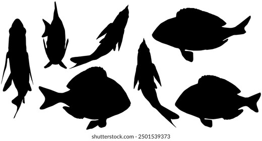 set of fish silhouette vector designs with various position styles