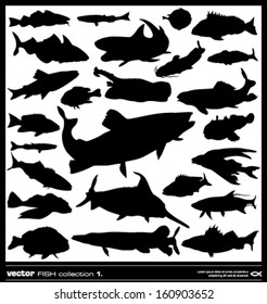 Set of fish silhouette. Vector. Salt and fresh water fish collection.