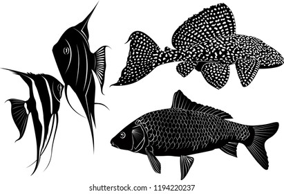 set of fish silhouettes
