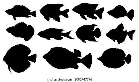 3,727 Different fish shape Images, Stock Photos & Vectors | Shutterstock