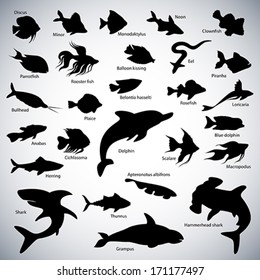 Set of fish silhouettes on abstract background