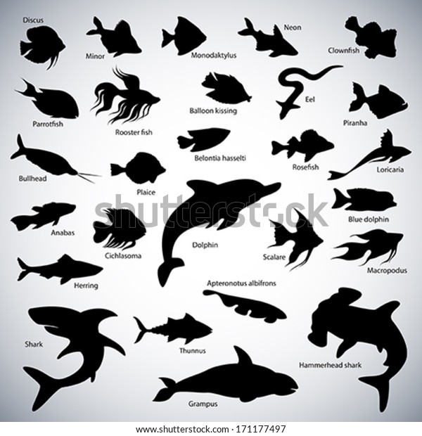 Set of fish\
silhouettes on abstract\
background