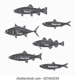 Set of fish silhouettes on white background. Trout, sardine, tuna, cod, salmon and herring labels.