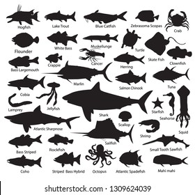 Set fish silhouettes - Vector