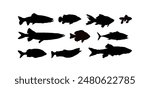 set of fish silhouettes - vector illustration, fishing	