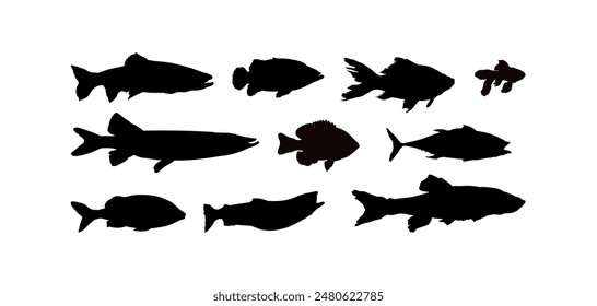 set of fish silhouettes - vector illustration, fishing	