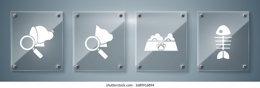 Set Fish skeleton, Pet food bowl for cat or dog, Veterinary clinic symbol and Veterinary clinic symbol. Square glass panels. Vector