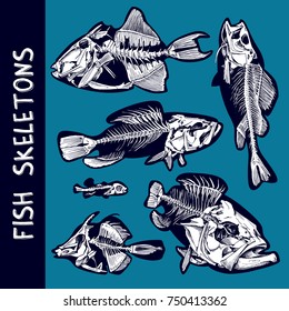 Set of a Fish skeletons. Vector illustration.