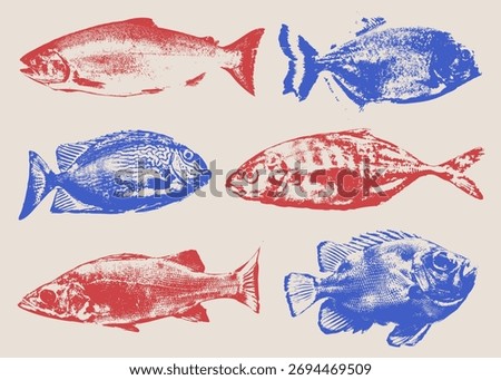 Set of fish stamp prints in red and blue. A collection of rustic linocut or block print style illustrations with a grunge texture, perfect for seafood restaurant menus, fishing club logos