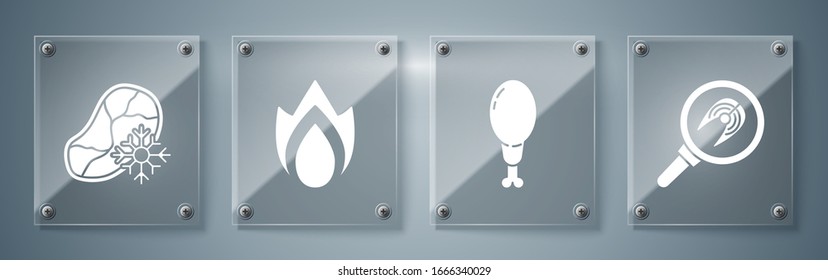 Set Fish steak in frying pan, Chicken leg, Fire flame and Fresh frozen steak meat. Square glass panels. Vector