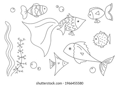 Set of fish in the style of doodle. Simple vector illustration, fish, algae, bubbles, line art. Collection of marine, river animals under water, isolated on a white background