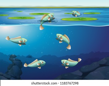 Set of fish underwater illustration