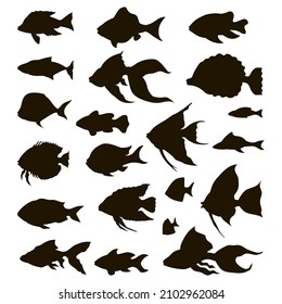 Set of fish vector silhouettes black isolated on white background in monochrome style