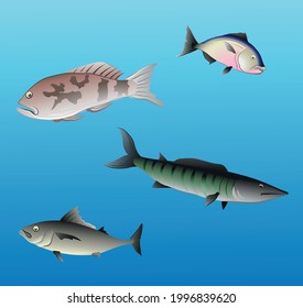 Set of fish in water. Vector illustration