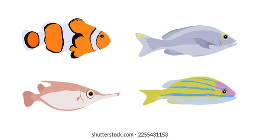 Set of fishes in flat style. Illustration of isolated fishes Clownfish, Snipefish, Bluestripe Snapper. Fish isolated on white. vector illustration