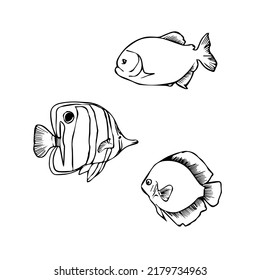 
Set Of Fishes Linear Hand-drawing Icon Isolated On White Background. Piranha Doodle, Sketch
Angel Fish Sketch, Gold Fish Outline