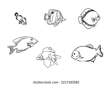 1,484 Piranha Drawing Images, Stock Photos & Vectors 