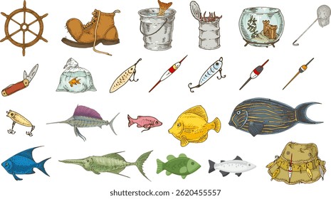 set of fishing tools and equipment series vector illustration