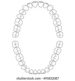 Set fissures teeth, the chewing surface of teeth upper and lower jaw, dental vector illustration for print or design dental website template