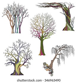 A set of five abstract bare trees with detailed branches and twigs. Vector color illustration, isolated on white background.