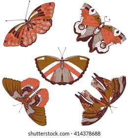 Set of five beautiful colored butterflies