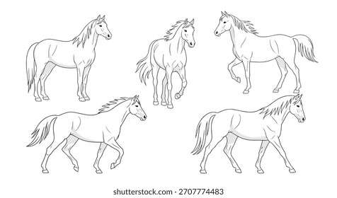 Conjunto de cinco hermosos caballos en varias poses dinámicas dibujadas en un estilo de contorno blanco y negro limpio para un libro para colorear.