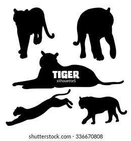 Set of five big cats or tiger silhouettes, isolated on white background