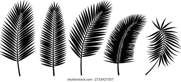  Conjunto de cinco hojas de palma estilizadas en blanco y negro con diferentes texturas y Formas