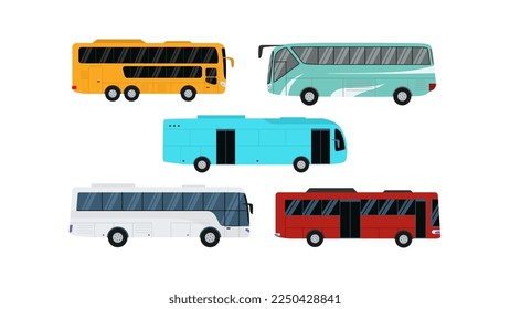 set of five bus isolated on white background.