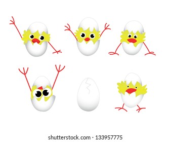 set of five chickens and egg in white background